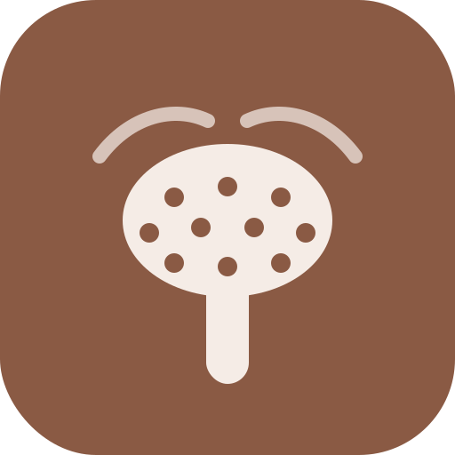 La brosse à cheveux
